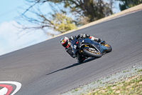 cadwell-no-limits-trackday;cadwell-park;cadwell-park-photographs;cadwell-trackday-photographs;enduro-digital-images;event-digital-images;eventdigitalimages;no-limits-trackdays;peter-wileman-photography;racing-digital-images;snetterton;snetterton-no-limits-trackday;snetterton-photographs;snetterton-trackday-photographs;trackday-digital-images;trackday-photos
